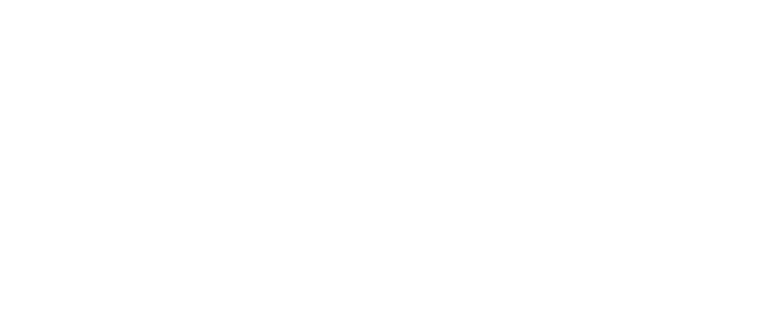 Deep Neuron Logo